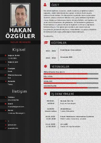 Yazılım Mühendisi Cv Örnekleri cv indir
